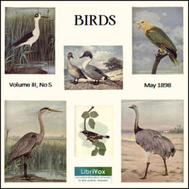 Birds, Vol. III, No 5, May 1898