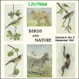 Birds and Nature, Vol. X, No 5, December 1901
