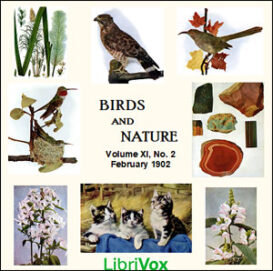 Birds and Nature, Vol. XI, No 2, February 1902