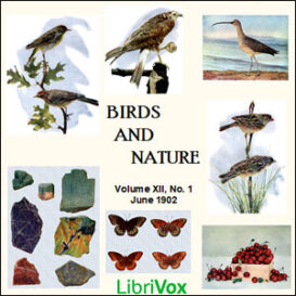 Birds and Nature, Vol. XII, No 1, June 1902