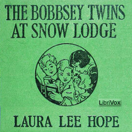 The Bobbsey Twins at Snow Lodge