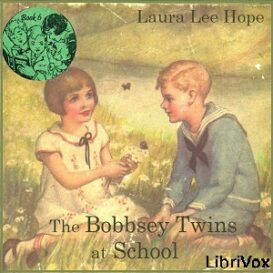 The Bobbsey Twins at School