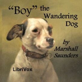 "Boy" The Wandering Dog