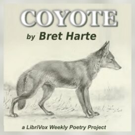 Coyote
