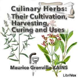 Culinary Herbs: Their Cultivation, Harvesting, Curing and Uses