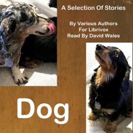 Dog: A Selection of Stories