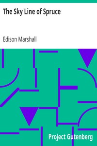 pg11402.cover_.medium-1.jpg The Sky Line of Spruce - Image 1