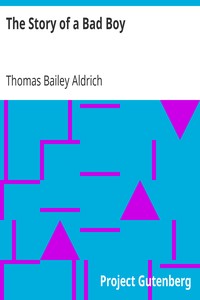 The Story of a Bad Boy