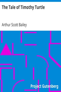 The Tale of Timothy Turtle