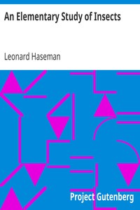 An Elementary Study of Insects