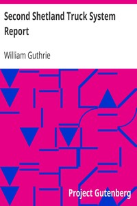 Second Shetland Truck System Report