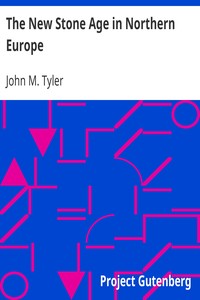 pg41649.cover_.medium.jpg The New Stone Age in Northern Europe - Image 1