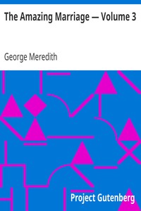The Amazing Marriage — Volume 3