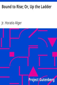 Bound to Rise; Or, Up the Ladder