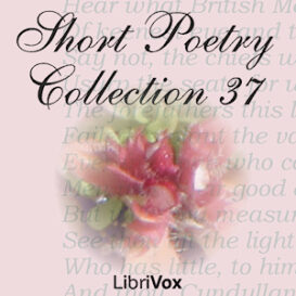 Short Poetry Collection 037