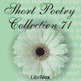 Short Poetry Collection 071