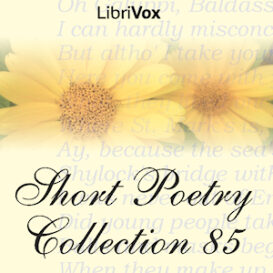 Short Poetry Collection 085
