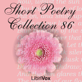 Short Poetry Collection 086